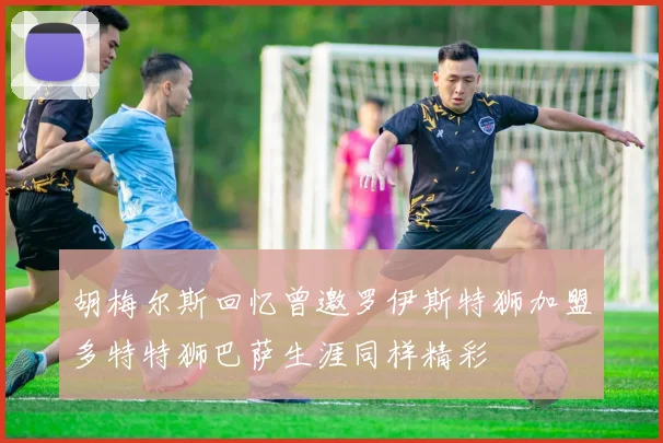 胡梅尔斯回忆曾邀罗伊斯特狮加盟多特特狮巴萨生涯同样精彩