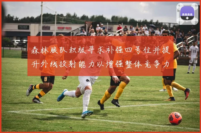 森林狼队积极寻求补强四号位并提升外线投射能力以增强整体竞争力